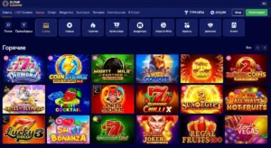 Security and License at Olymp Casino: What You Need to Know
